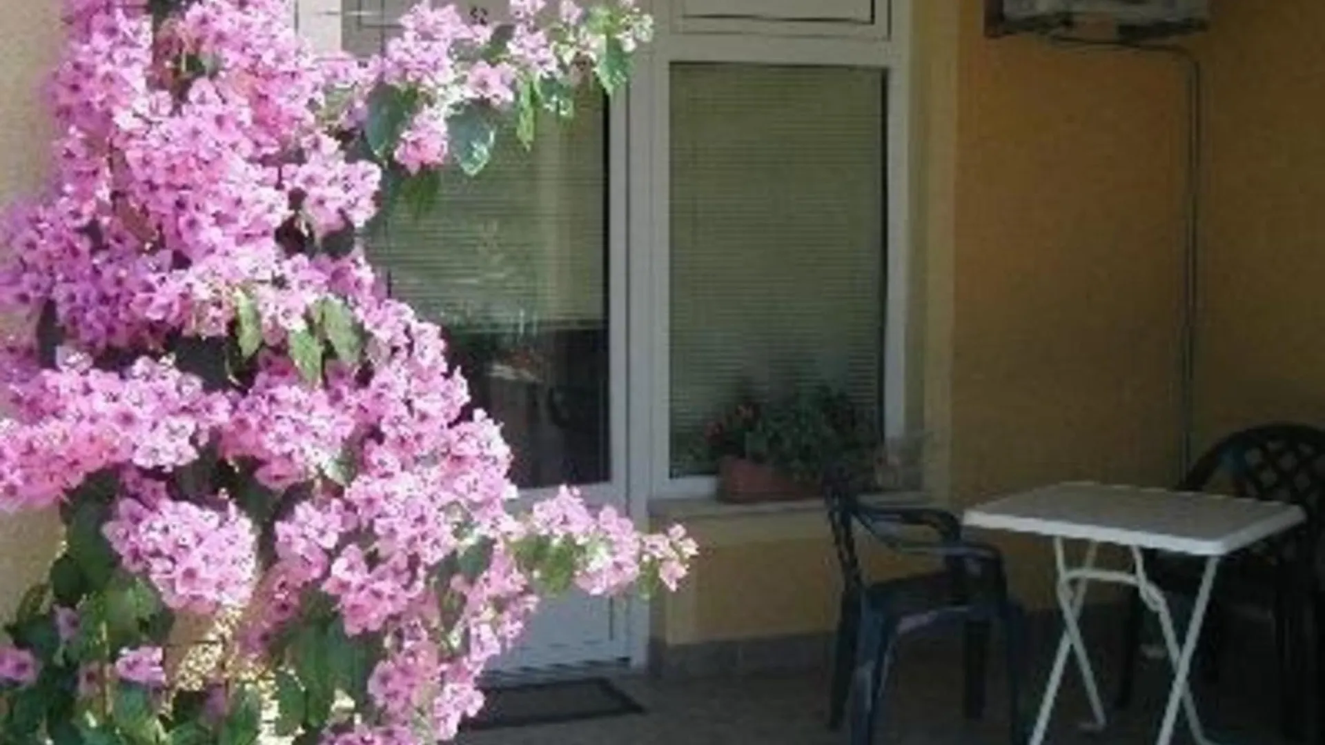 Apartment Gemuetliches Erdgeschoss-Studio Fuer 2 Personen Crikvenica